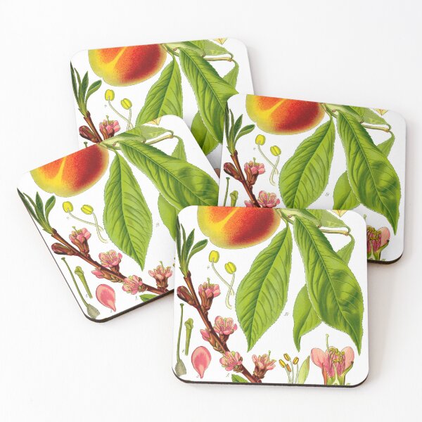 Item preview, Botanical Illustration Prunus Persica designed and sold by botanicalworks.