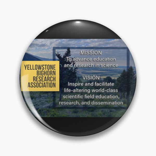 YBRA Mission & Vision Statement Pin