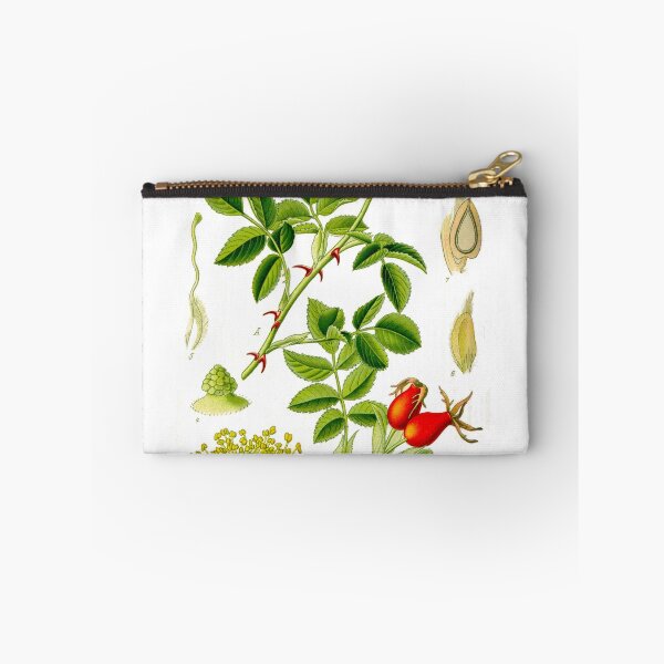 Item preview, Botanical Illustration Rosa Canina designed and sold by botanicalworks.