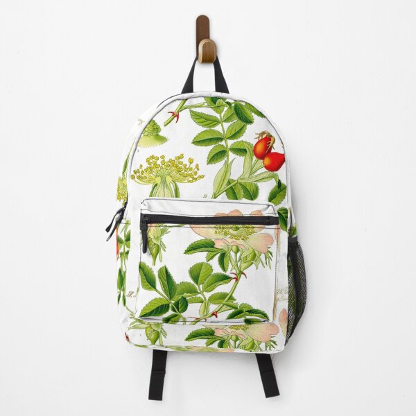 Item preview, Botanical Illustration Rosa Canina designed and sold by botanicalworks.
