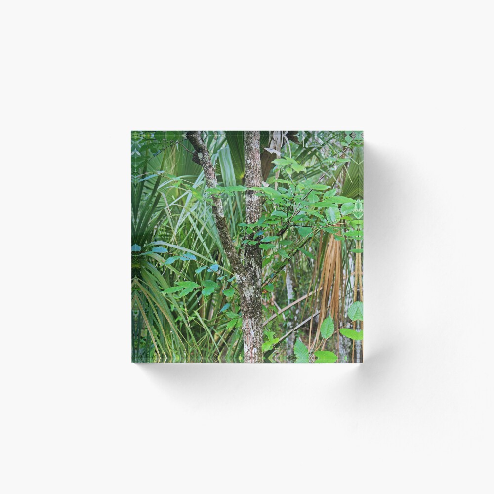 Item preview, Acrylic Block designed and sold by Michiale.