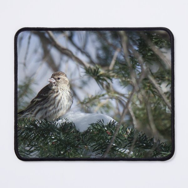 Item preview, Wintertime Wren designed and sold by passion4photos.
