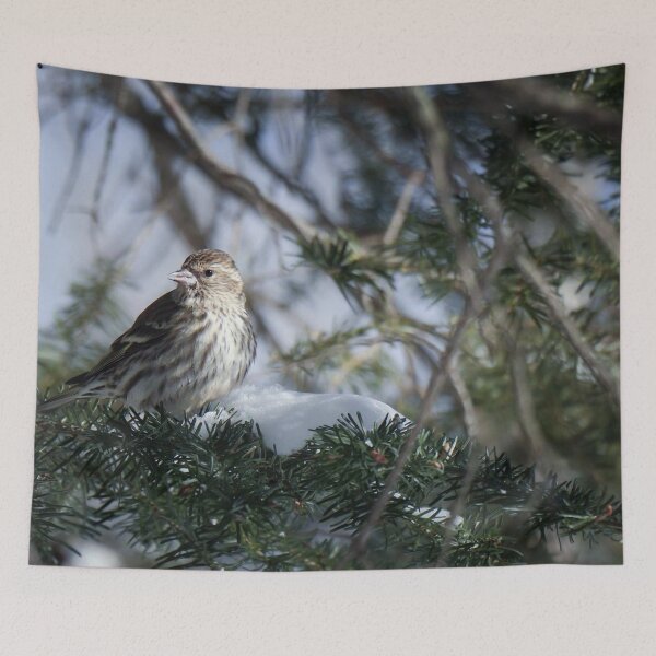 Item preview, Wintertime Wren designed and sold by passion4photos.