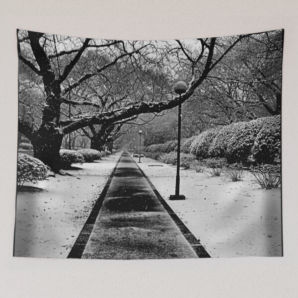 Item preview, Snowblind (Colorless Section) designed and sold by JulieMaxwell.