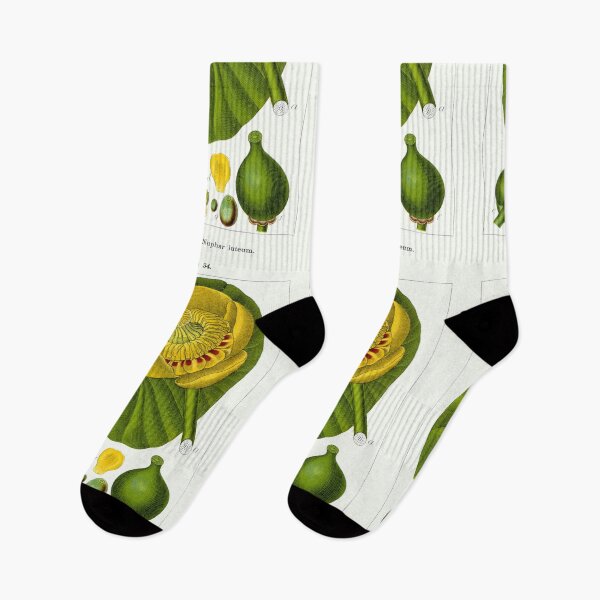 Item preview, Botanical Illustration Nuphar Lutea designed and sold by botanicalworks.