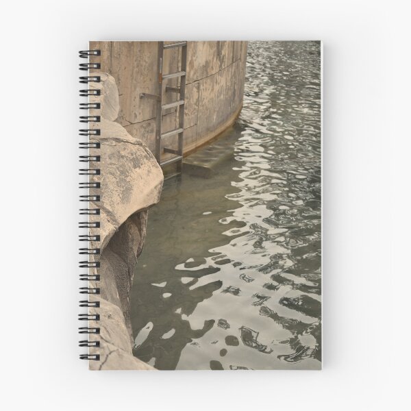 Item preview, Mandalay Bay Ladder in Water designed and sold by MangoSeeds.