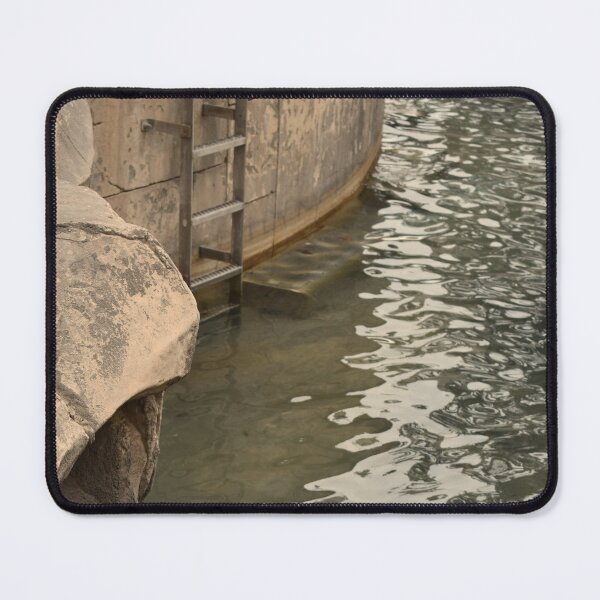 Item preview, Mandalay Bay Ladder in Water designed and sold by MangoSeeds.