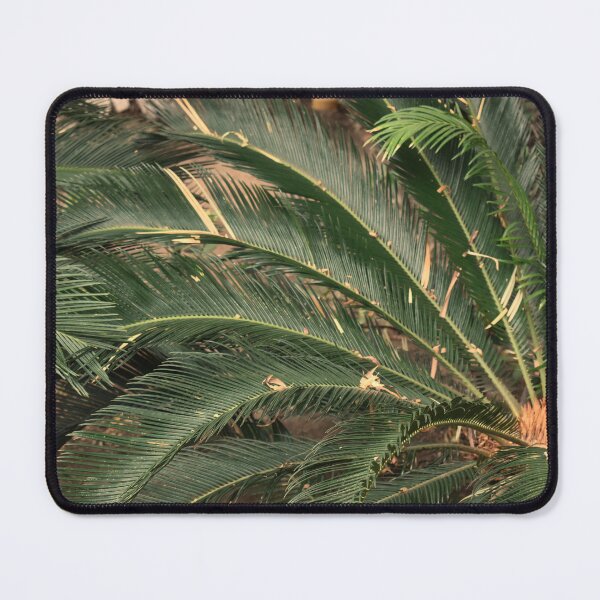 Item preview, Mandalay Bay Palm Leaves designed and sold by MangoSeeds.
