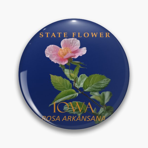 Item preview, Iowa Territory Flower Rosa Arkansana designed and sold by taiche.