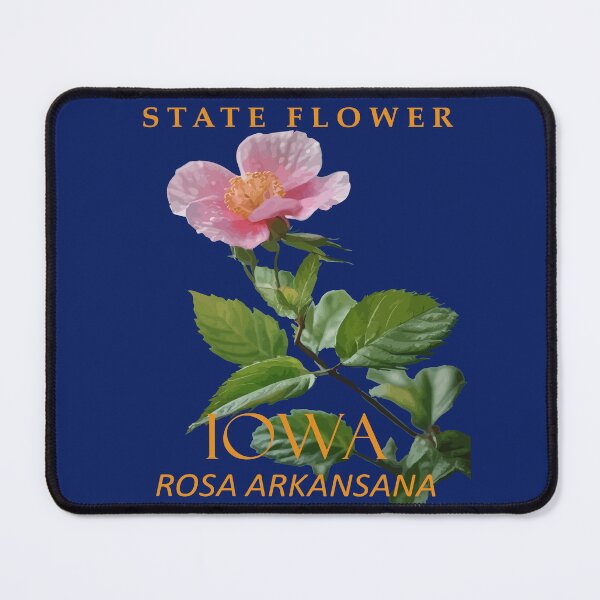Item preview, Iowa Territory Flower Rosa Arkansana designed and sold by taiche.