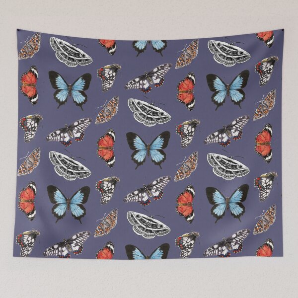 Item preview, Australian Butterflies and Moth Collection on Blue designed and sold by Nadya Neklioudova.