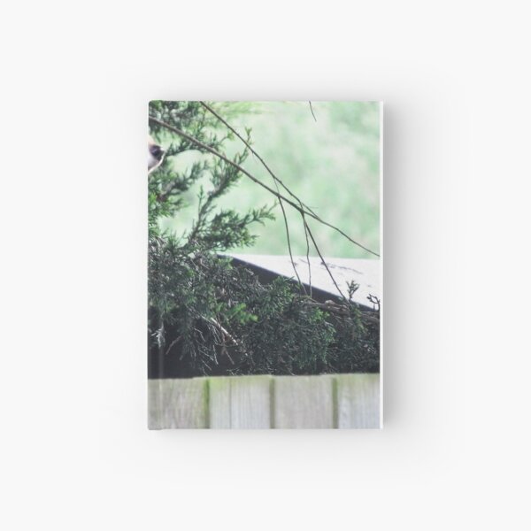 Item preview, Fox On The Run  designed and sold by TAMalloyPhoto.