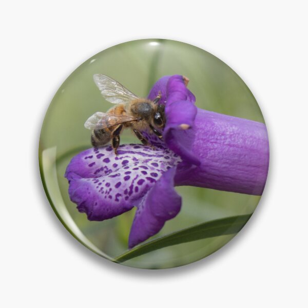 Item preview, Bee visiting an eremophila flower designed and sold by Amy Akers.