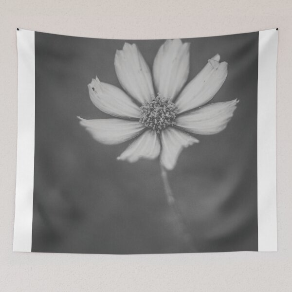 Item preview, Cosmo in BW designed and sold by Candice O'Neill.