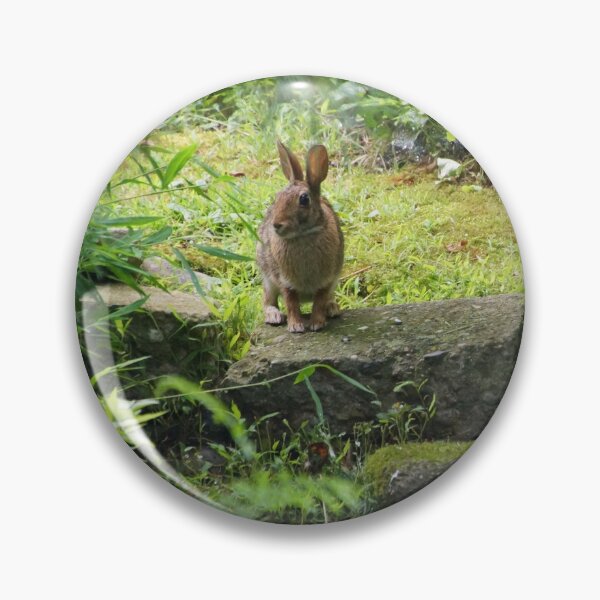Item preview, Bunny in Green Garden designed and sold by KbugNatureStudio.