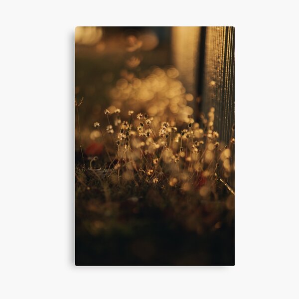 Item preview, Sparkle designed and sold by IdleImages.