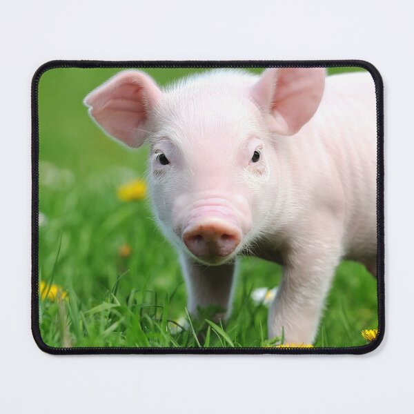 Item preview, Pig Lover designed and sold by HinsonCreations.