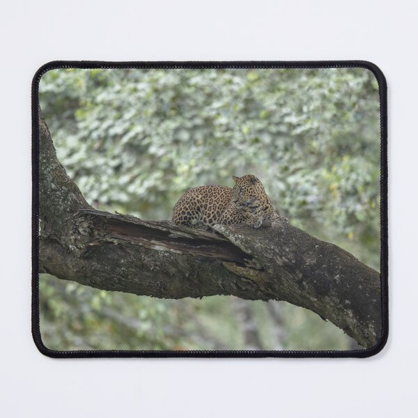 Item preview, Vigilant Leopard designed and sold by Puttaswamy Ravishankar.