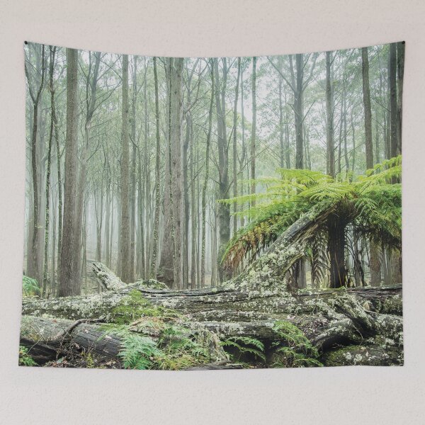 Item preview, Coolah Tops Tree Fern designed and sold by Candice O'Neill.