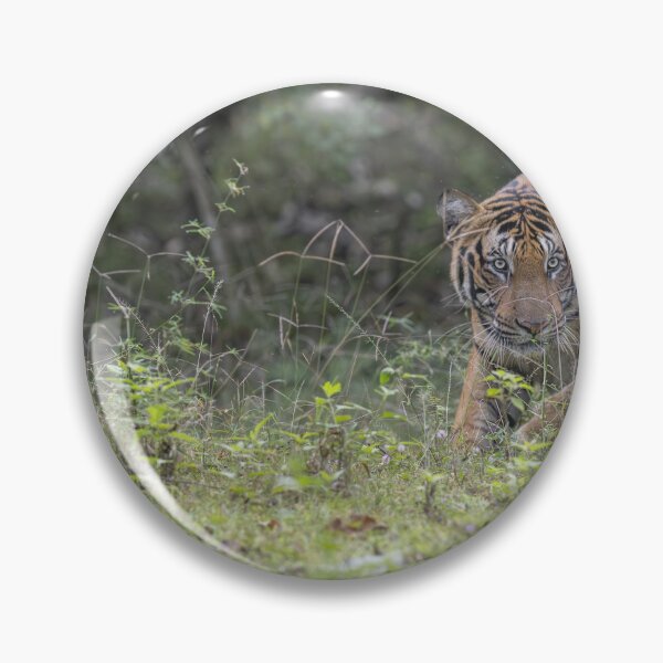 Item preview, Tiger in an Indian Jungle #2 designed and sold by Puttaswamy Ravishankar.
