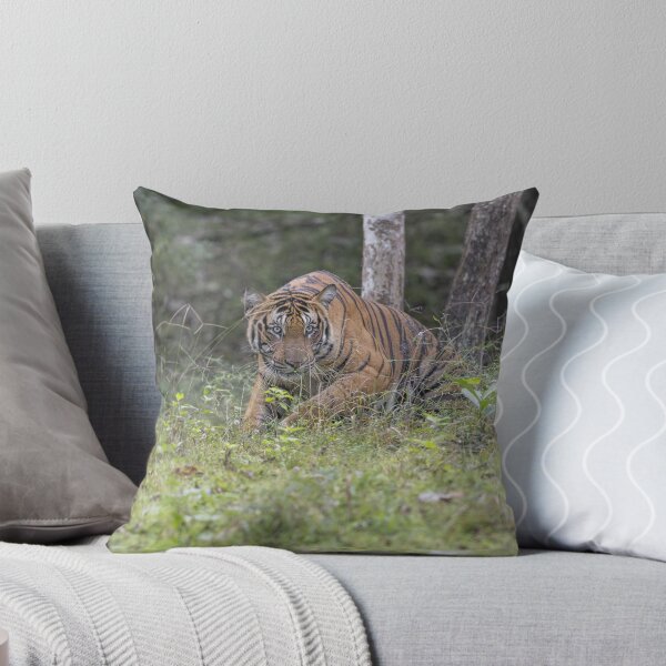 Item preview, Tiger in an Indian Jungle #2 designed and sold by Puttaswamy Ravishankar.