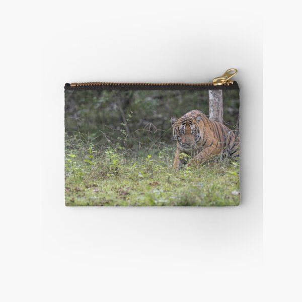Item preview, Tiger in an Indian Jungle #2 designed and sold by Puttaswamy Ravishankar.