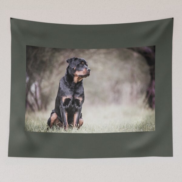 Item preview, Rottweiler Fine Art Portrait designed and sold by redkitephotos.