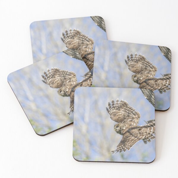 Item preview, Mama Barred owl in Flight designed and sold by Puttaswamy Ravishankar.