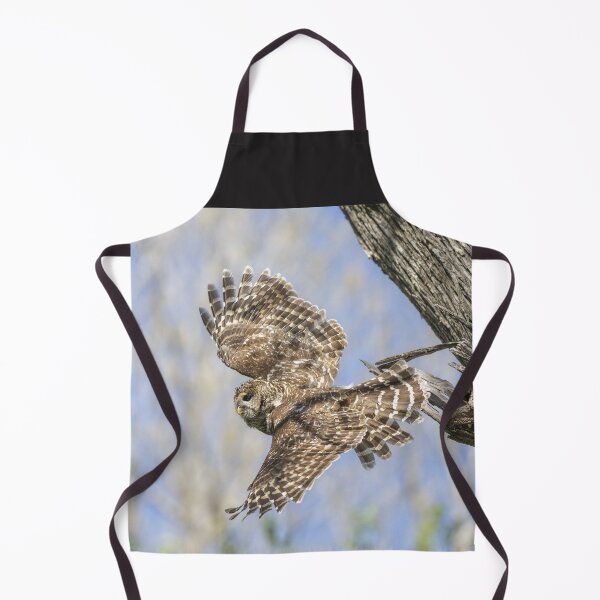 Item preview, Mama Barred owl in Flight designed and sold by Puttaswamy Ravishankar.