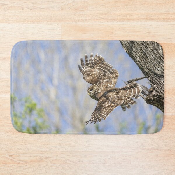 Item preview, Mama Barred owl in Flight designed and sold by Puttaswamy Ravishankar.