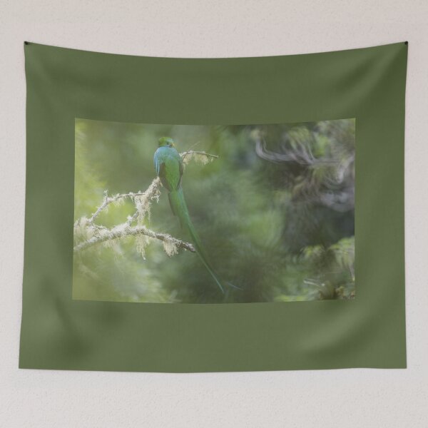 Item preview, Relaxing Resplendent quetzal designed and sold by Puttaswamy Ravishankar.
