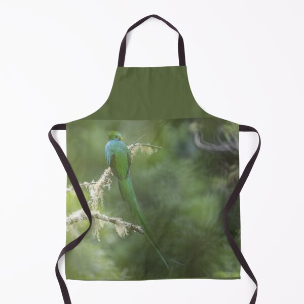 Item preview, Relaxing Resplendent quetzal designed and sold by Puttaswamy Ravishankar.