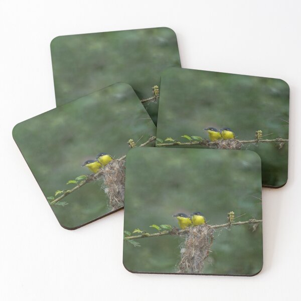 Item preview, Commontody flycatcher designed and sold by Puttaswamy Ravishankar.