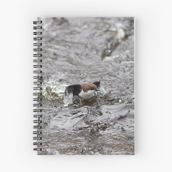 Item preview, Up and go. White-throated dipper designed and sold by Jouko Lehto Photography.