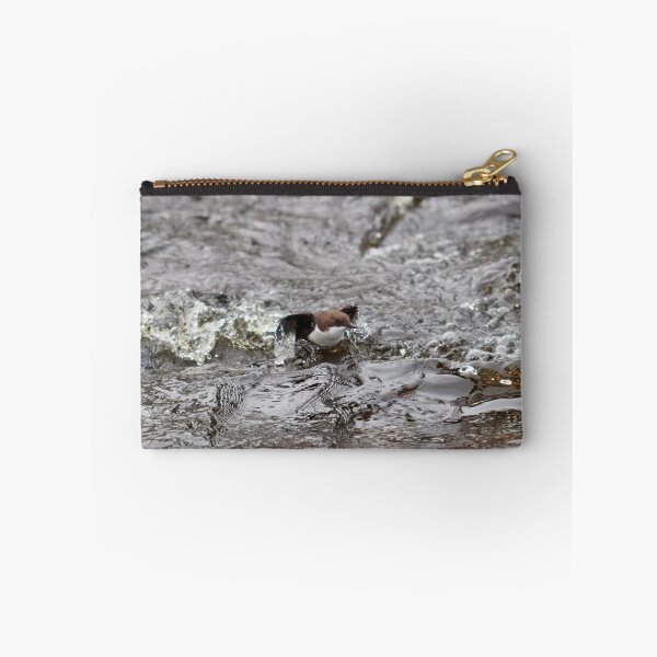Item preview, Up and go. White-throated dipper designed and sold by Jouko Lehto Photography.