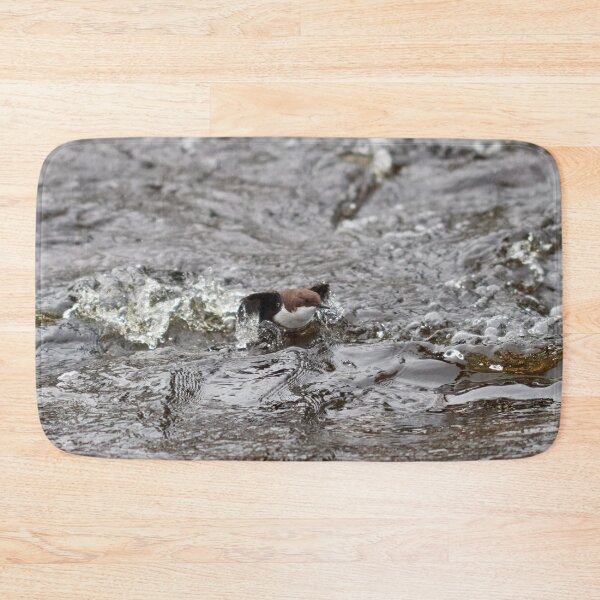 Item preview, Up and go. White-throated dipper designed and sold by Jouko Lehto Photography.