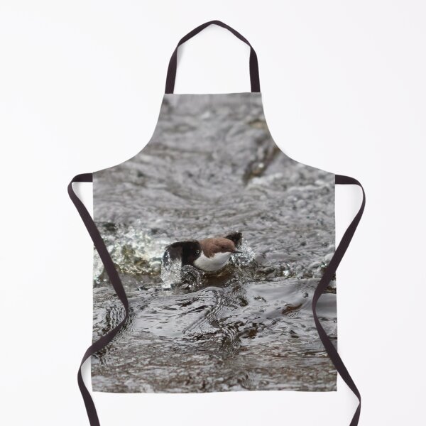 Item preview, Up and go. White-throated dipper designed and sold by Jouko Lehto Photography.