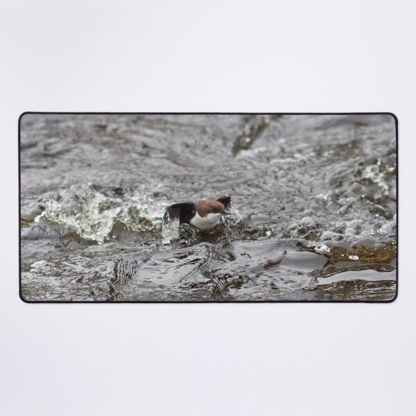 Item preview, Up and go. White-throated dipper designed and sold by Jouko Lehto Photography.