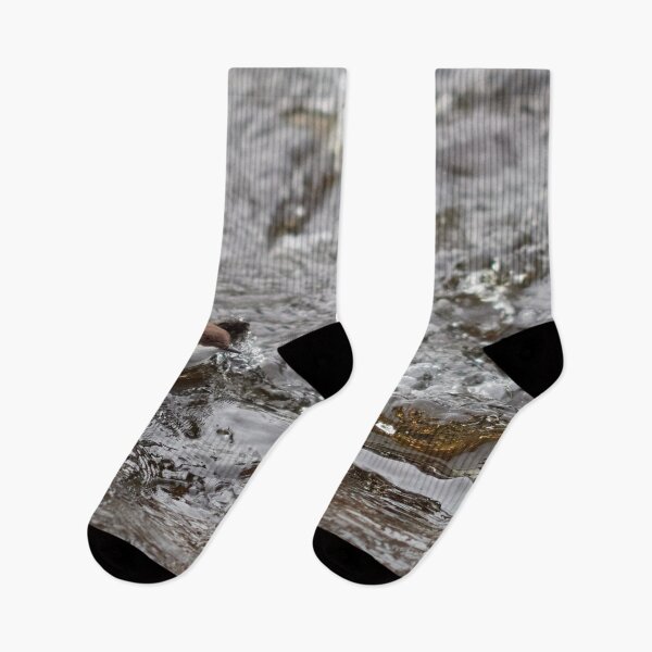 Item preview, Up and go. White-throated dipper designed and sold by Jouko Lehto Photography.