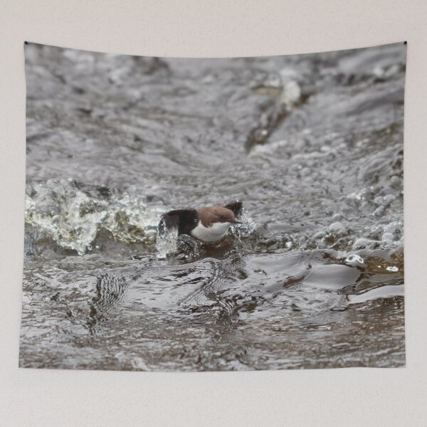 Item preview, Up and go. White-throated dipper designed and sold by Jouko Lehto Photography.