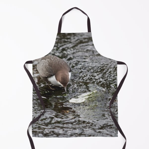 Item preview, To eat or not. White-throated dipper designed and sold by Jouko Lehto Photography.