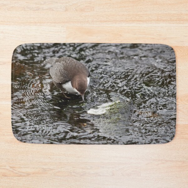 Item preview, To eat or not. White-throated dipper designed and sold by Jouko Lehto Photography.