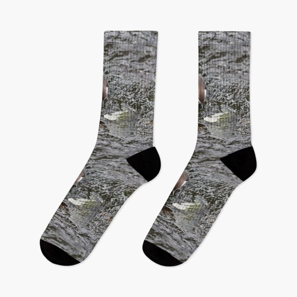 Item preview, To eat or not. White-throated dipper designed and sold by Jouko Lehto Photography.