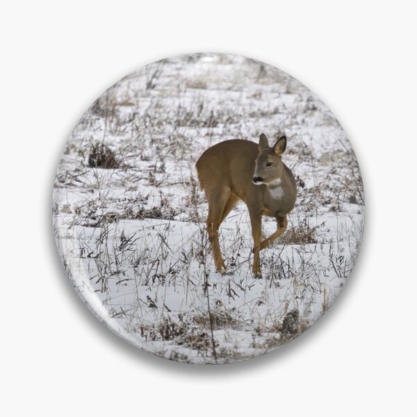 Item preview, The turn. Roe deer designed and sold by Jouko Lehto Photography.
