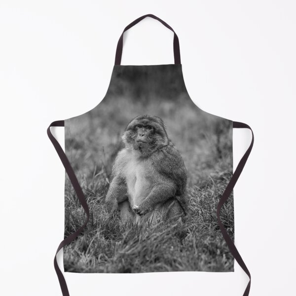 Item preview, barbary macaque at Trentham Gardens designed and sold by David Patterson.