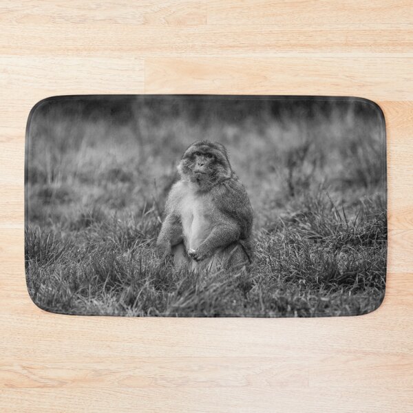 Item preview, barbary macaque at Trentham Gardens designed and sold by David Patterson.