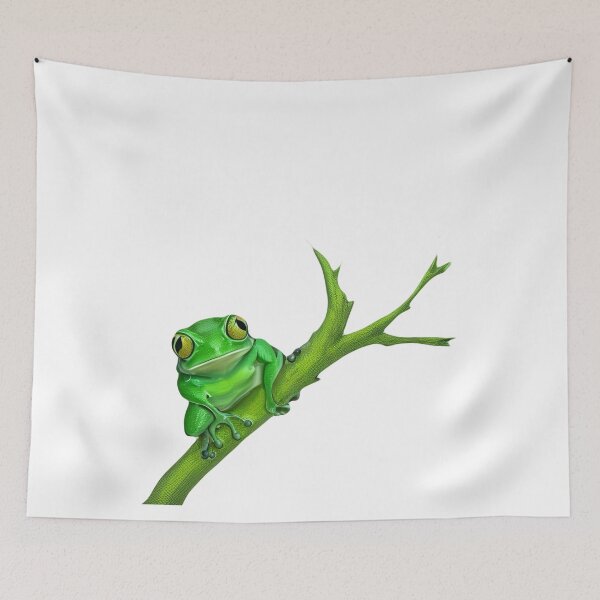 Item preview, Copy of Frog designed and sold by Glenbobagins.