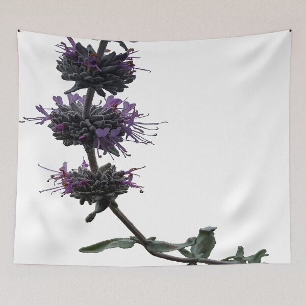 Item preview, Ojai Wild Flower designed and sold by kevinwmclain.