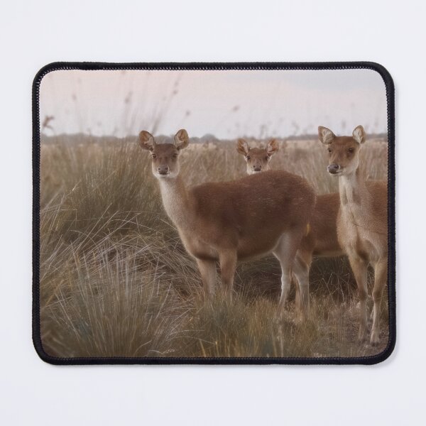 Item preview, Dreamy Deer. designed and sold by Kate4721.