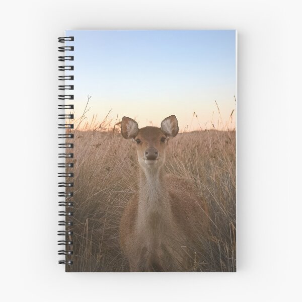 Item preview, Dreamy Sunset Deer Portrait. designed and sold by Kate4721.